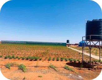 Gudinlabe Farm